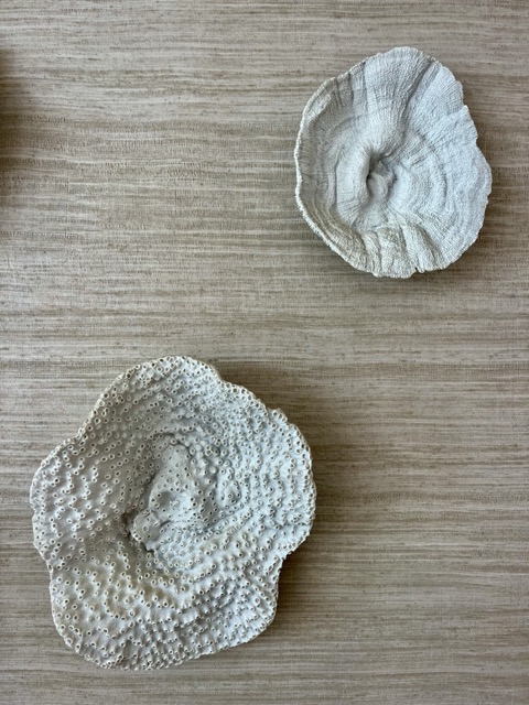 IMG_3461 normaal.jpeg